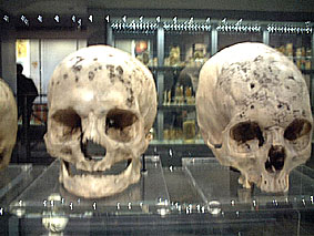 Hurrying past the rectal speculums: hot dating at the Royal College Of Surgeon's Hunterian Museum